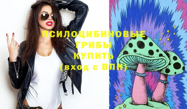 гашик Аркадак