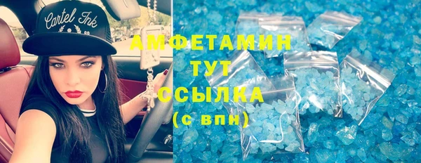 гашик Аркадак