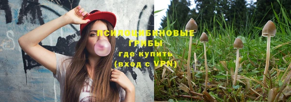 гашик Аркадак