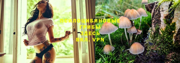 а пвп мука Армянск