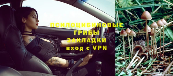 а пвп мука Армянск